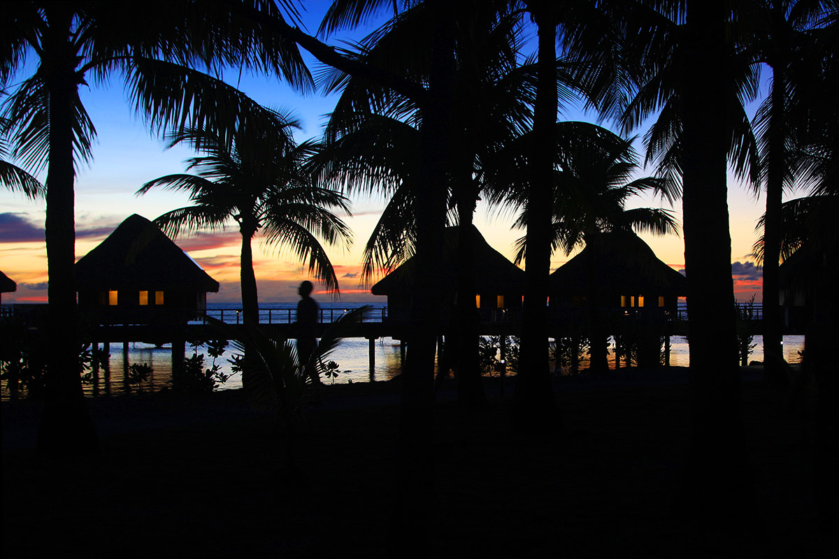 bora_bora/bora_hilton_sunset_trees