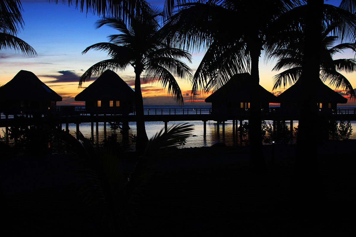 bora_bora/bora_hilton_sunset_trees_2