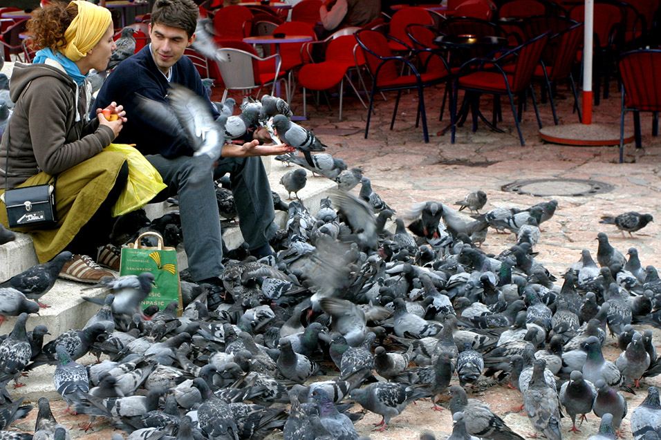 bosnia/sarajevo_pigeon_tourists