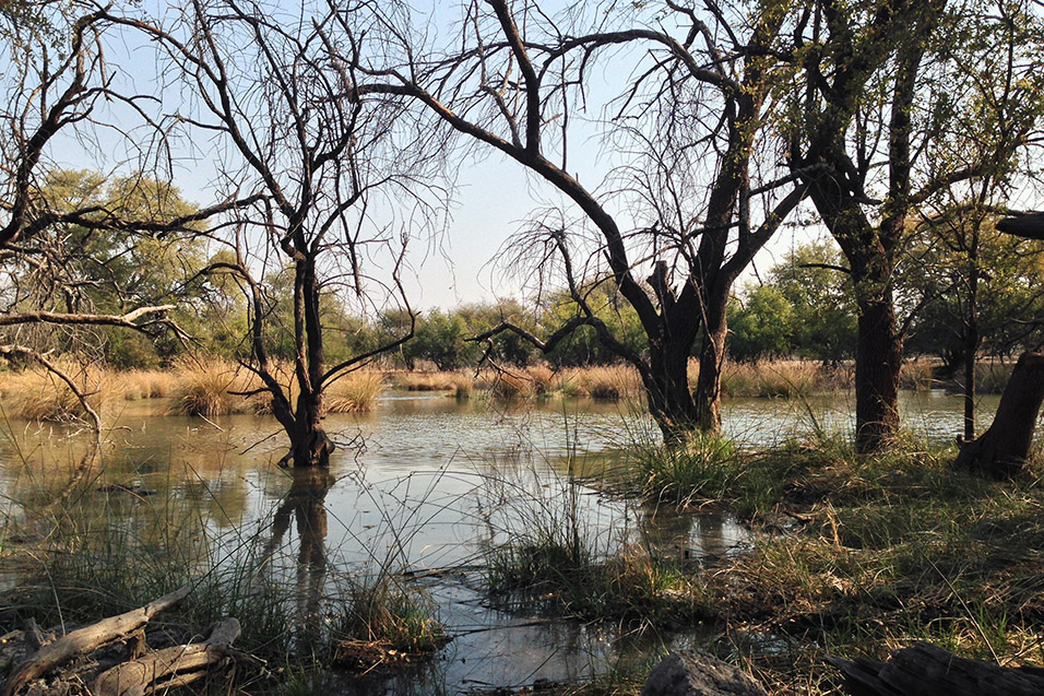 botswana/ghanzi_thakadu_swamp