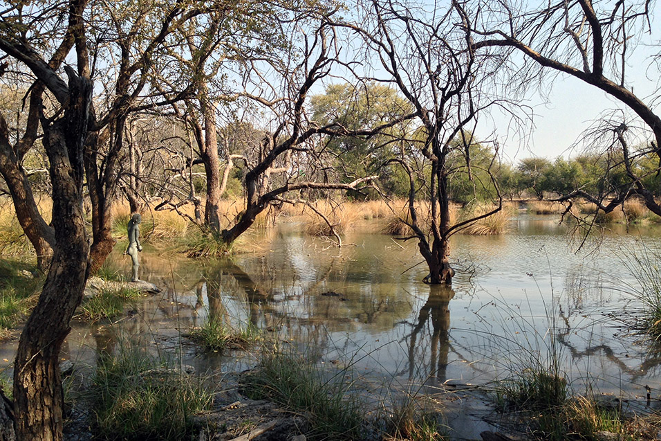 botswana/ghanzi_thakadu_swamp_2