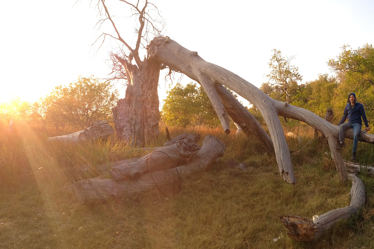 botswana/moremi_brian_third_bridge_sunrise