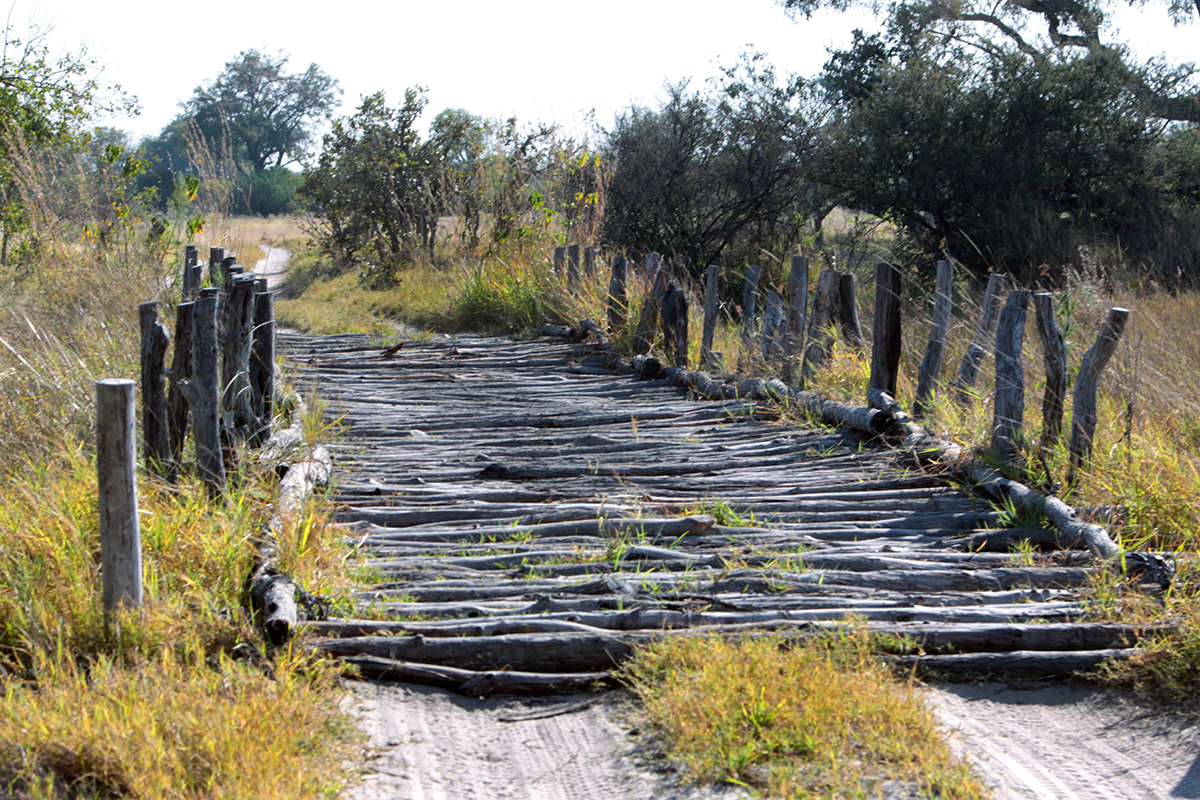 botswana/moremi_first_bridge