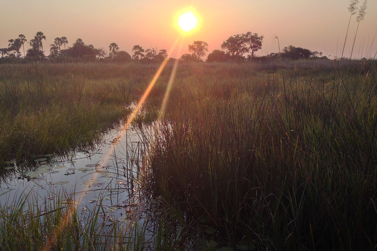 botswana/okavango_tubu_boat_sunset