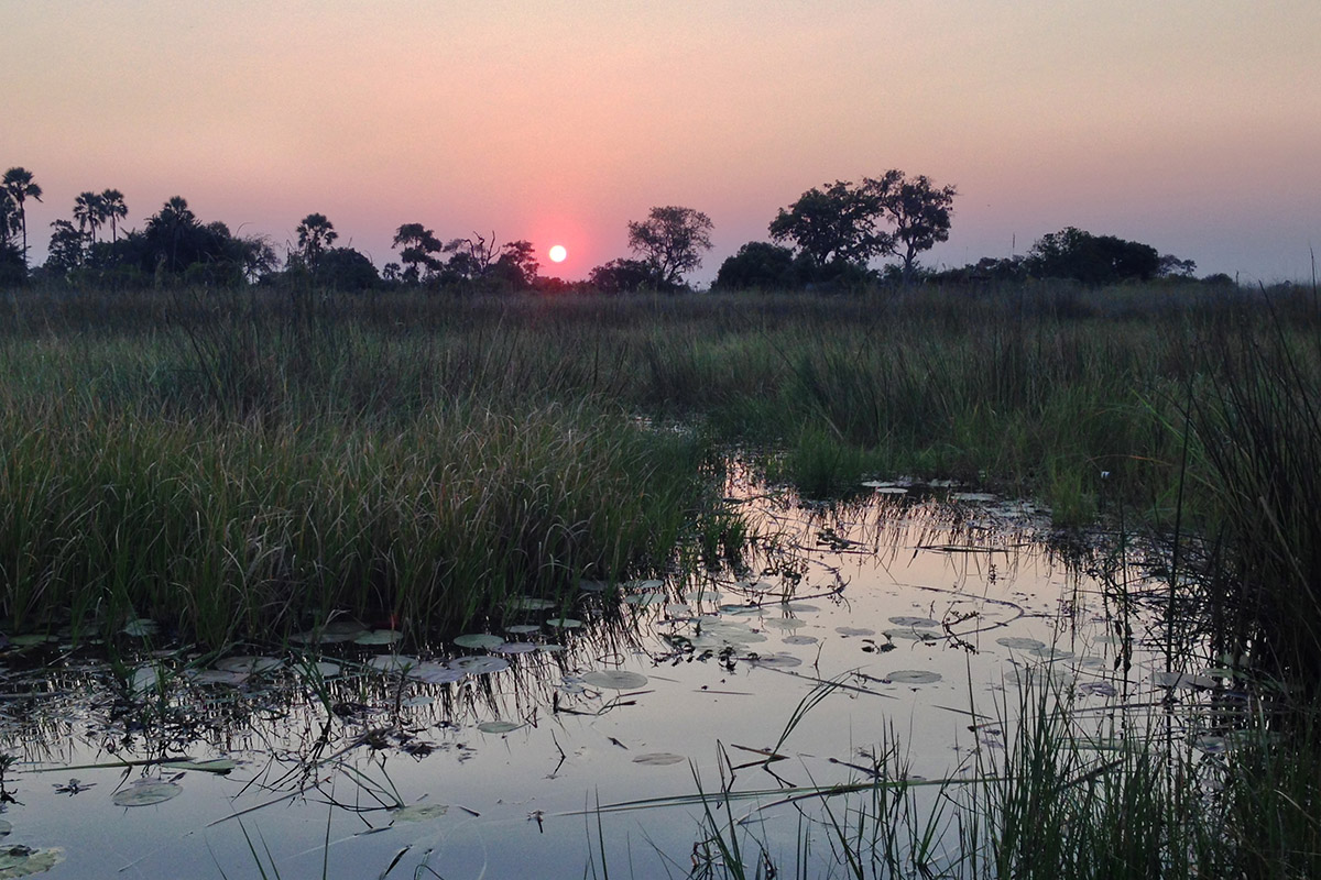 botswana/okavango_tubu_boat_sunsetting