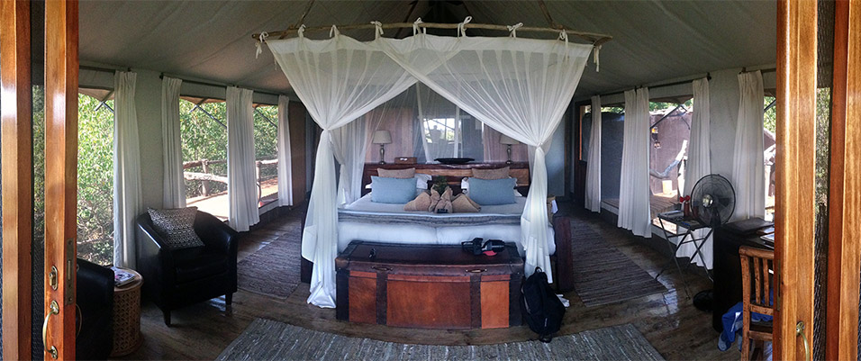 botswana/okavango_tubu_tree_tent