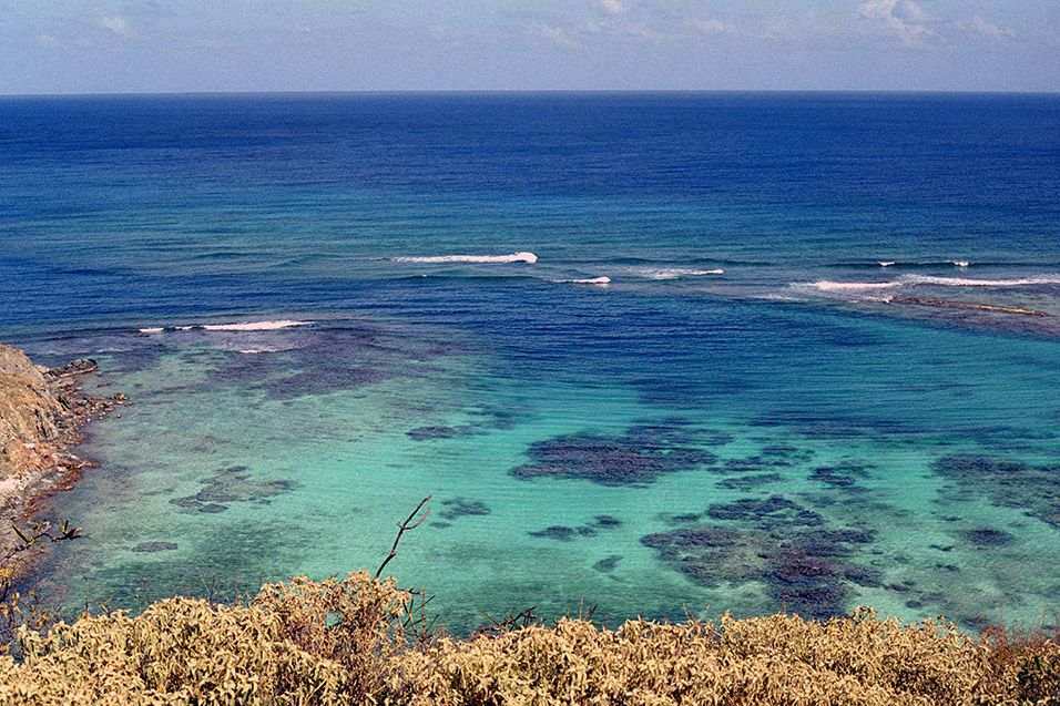 bvi/ocean_reef