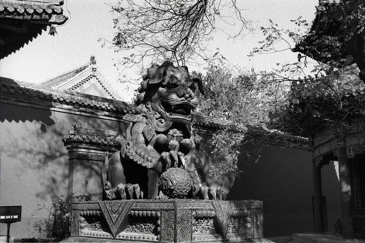 china/2001/beijing_lama_temple_dragon_bw