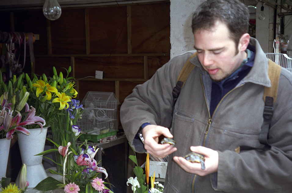 china/2001/shanghai_brian_turtles