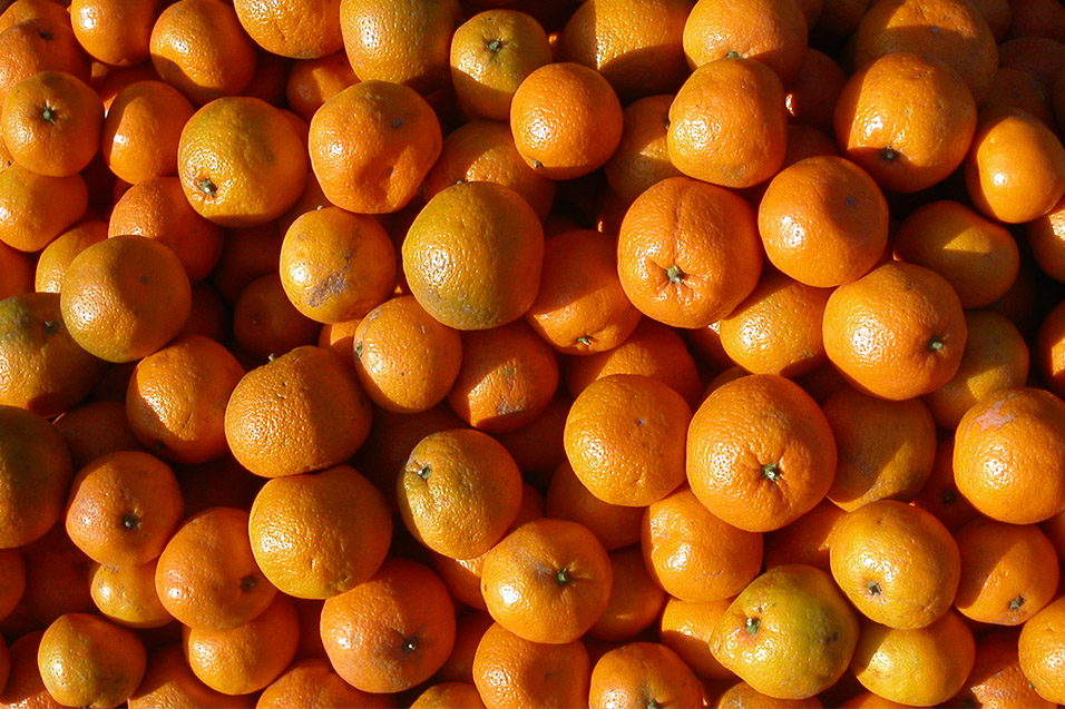 china/2004/pingyao_oranges