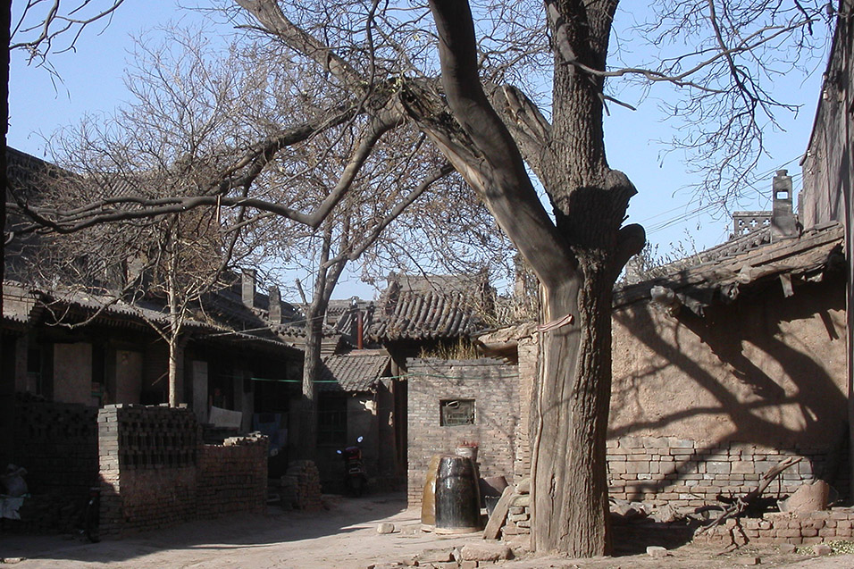 china/2004/pingyao_tree_yard