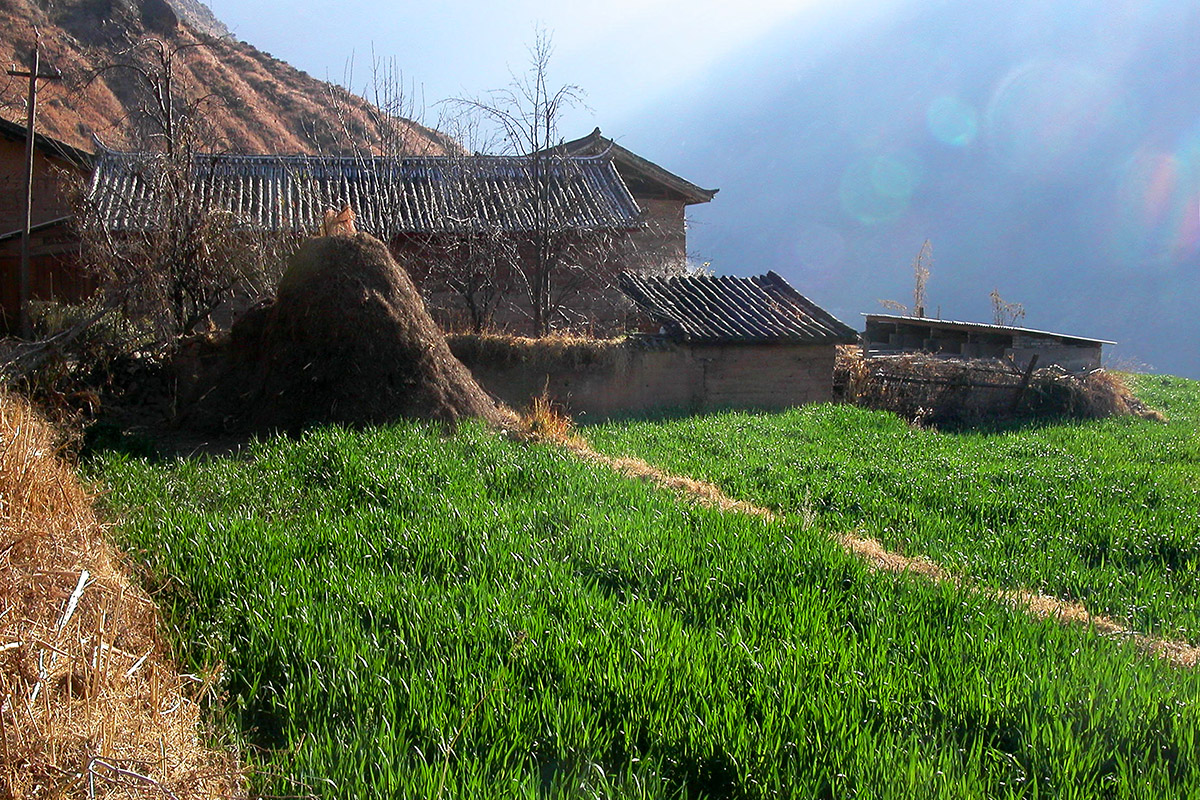 china/2004/tlg_rice_terraces_down