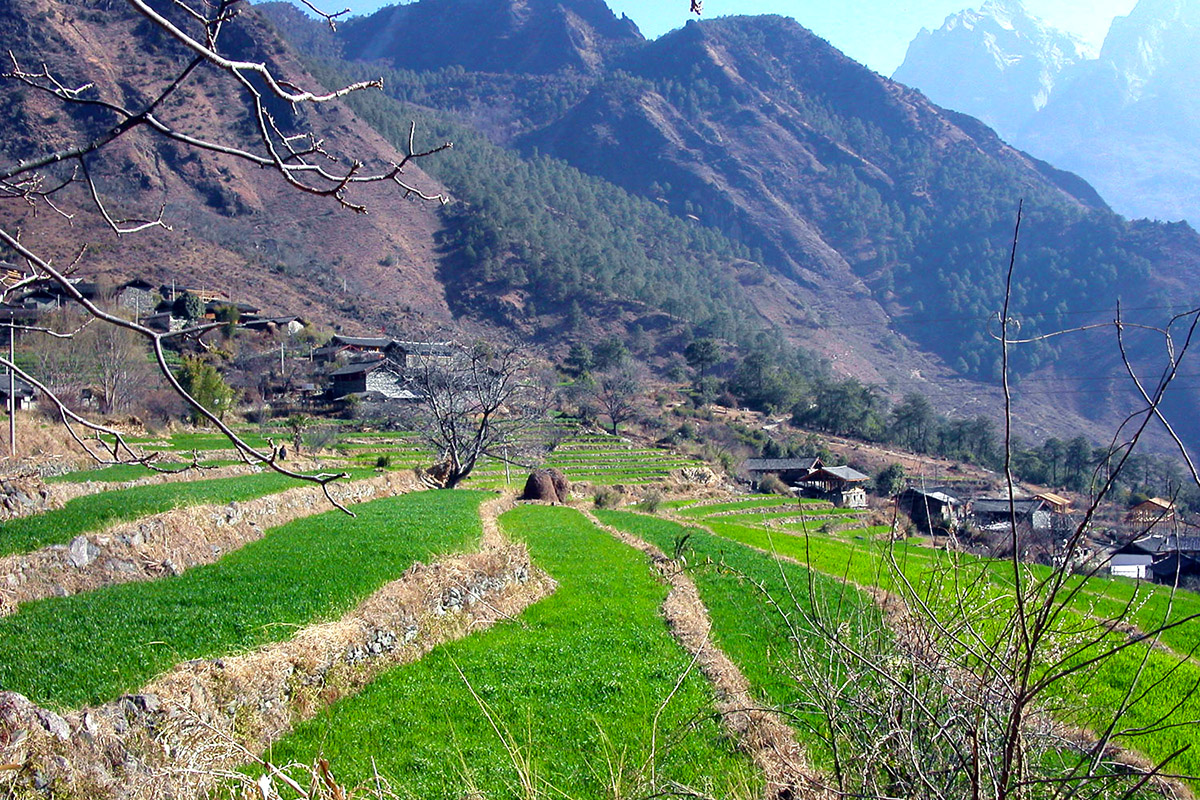 china/2004/tiger_rice_terraces