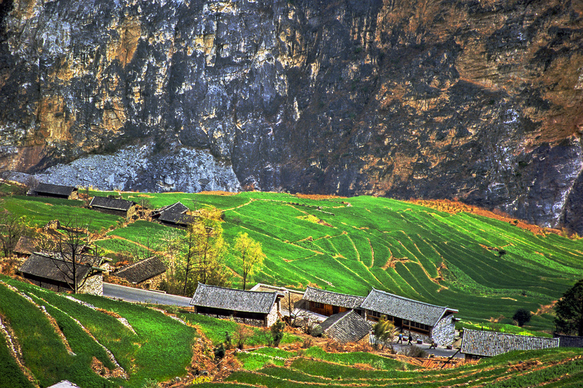 china/2004/tlg_rice_terraces_down