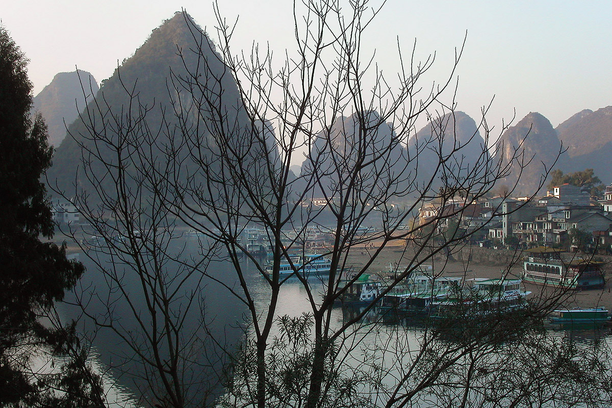 china/2004/yangshuo_bushes