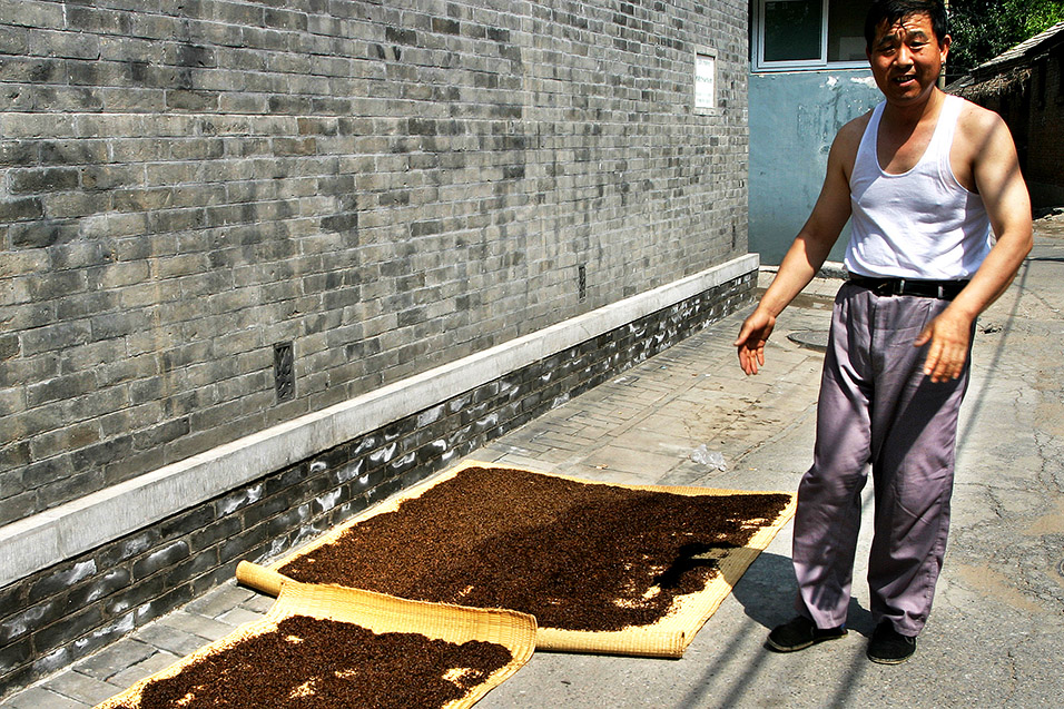 china/2006/beijing_hutong_man_grain