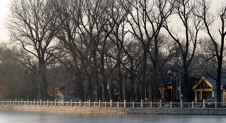 china/2007/beijing_houhai_railing_branches