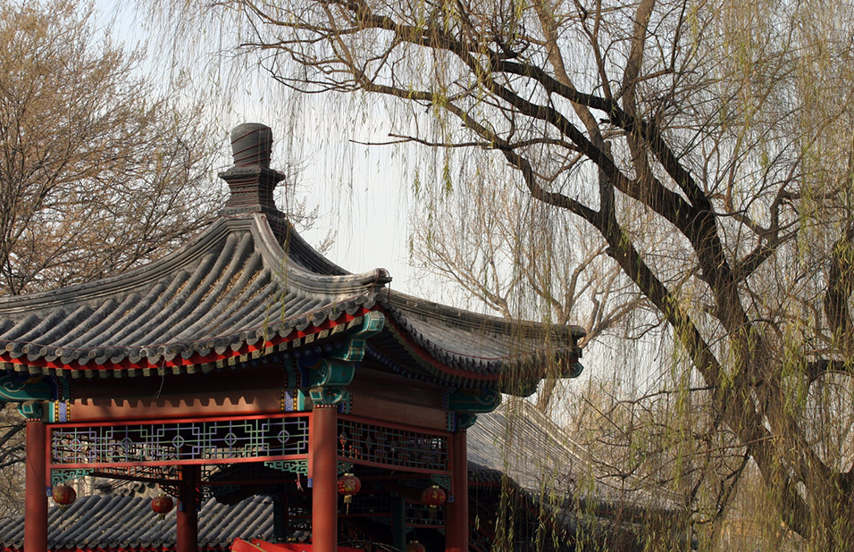 china/2007/houhai_tree_and_pavilion