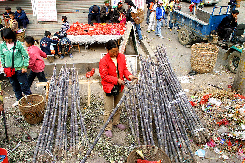 china/2007/hunan_bus_sugar_cane