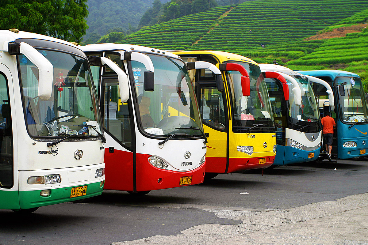 china/2007/tea_buses