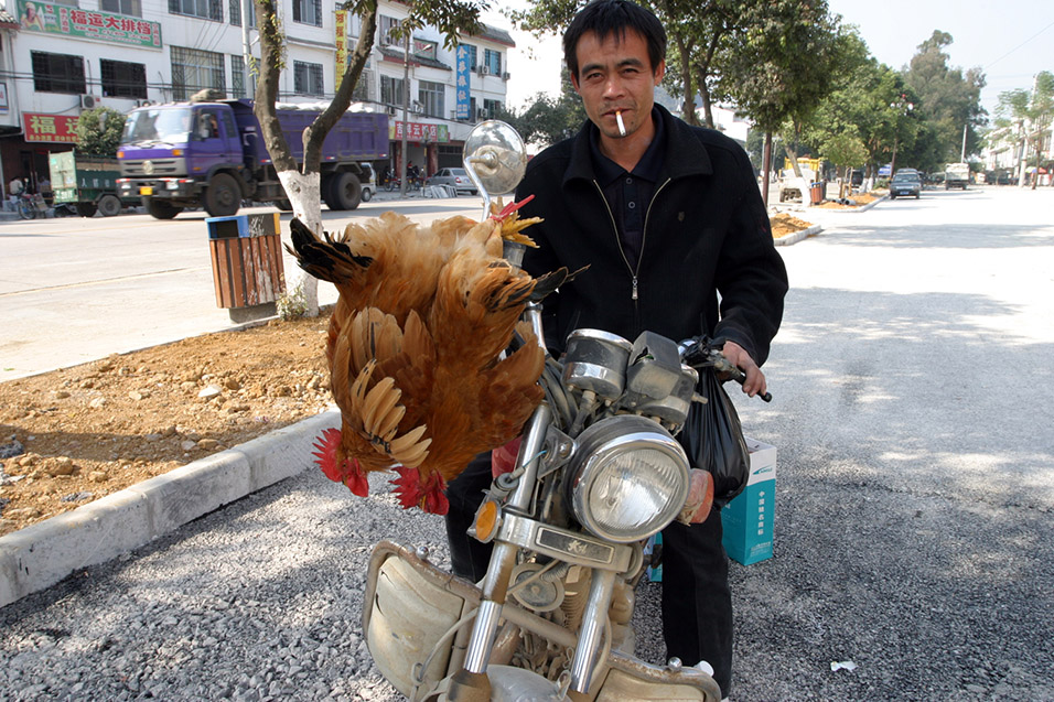 china/2007/yangshuo_putao_town_man_chickens_2