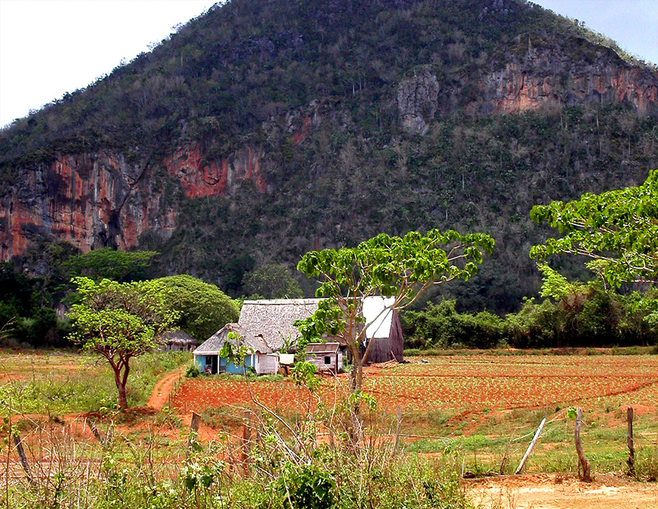 cuba/vinales_farm