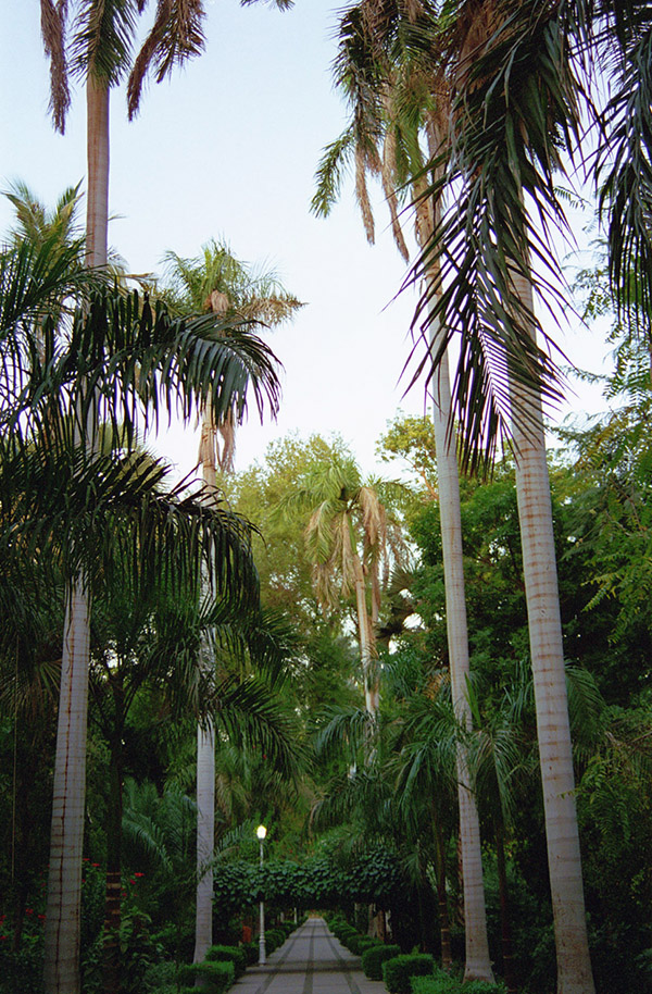 egypt/1996/aswan_elephantine_island