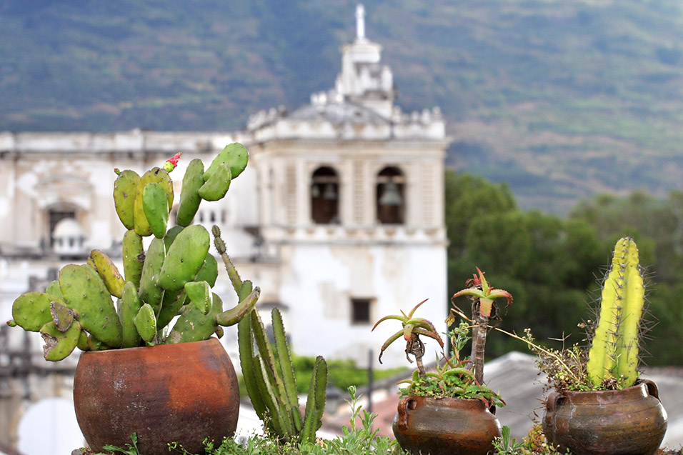 guatemala/antigua_roof_bar_view