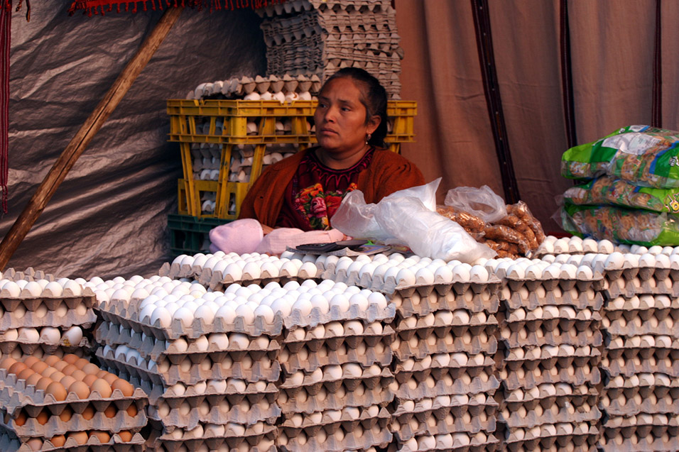 guatemala/chichi_tons_of_eggs