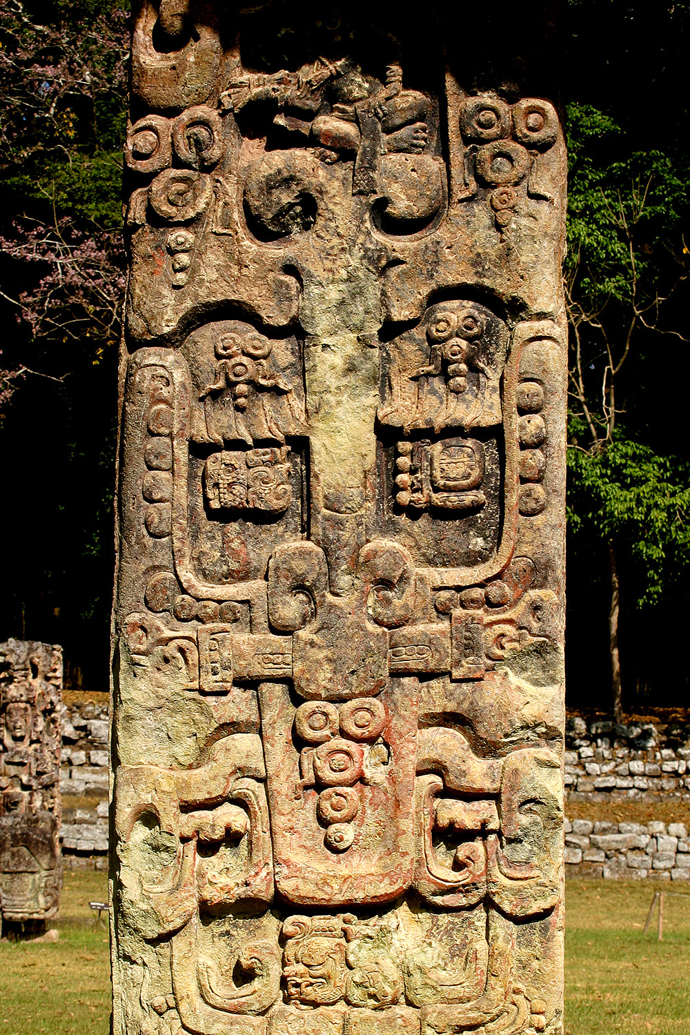 honduras/copan_stelae_vert