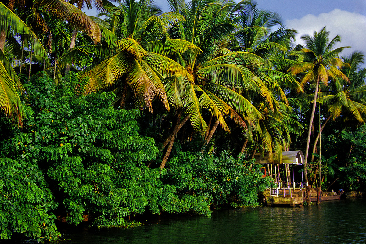 india/backwaters_classic