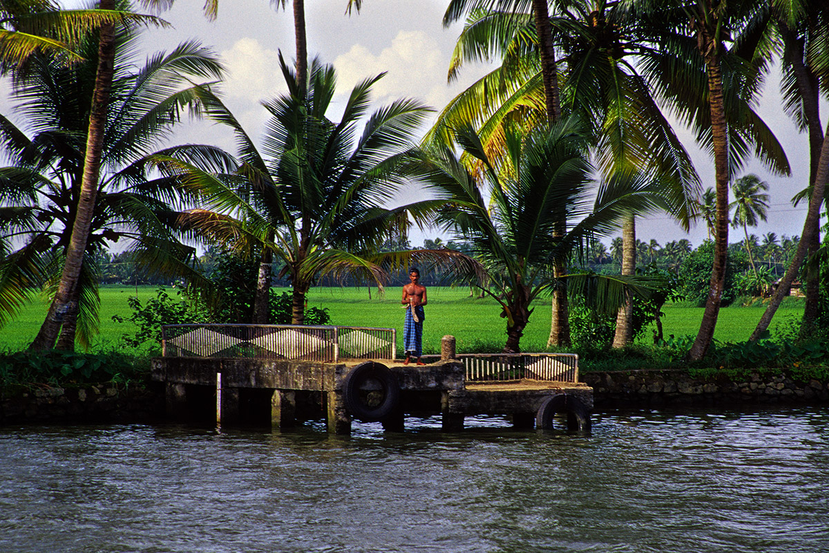 india/backwaters_green_field_man_dock