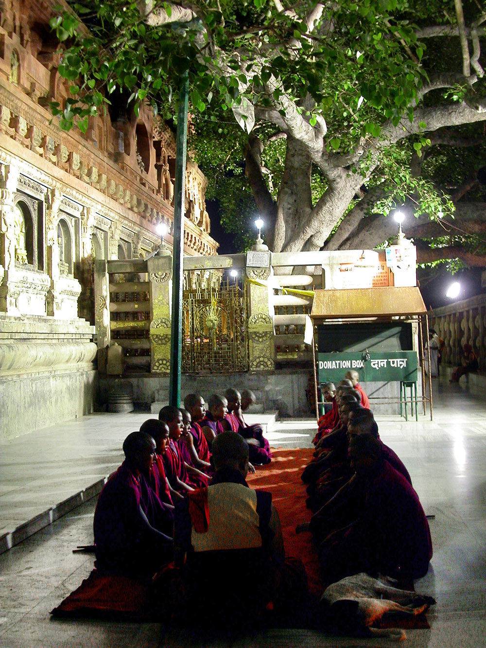 india/bodhgaya_bodhi_monks