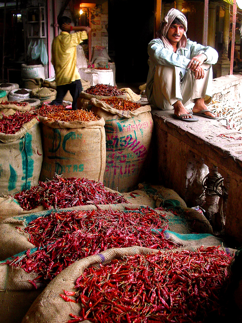 india/delhi_spice_man