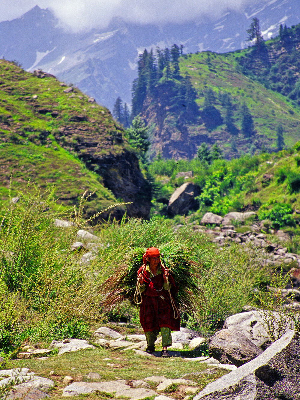 india/hiway_leh_villager_woman