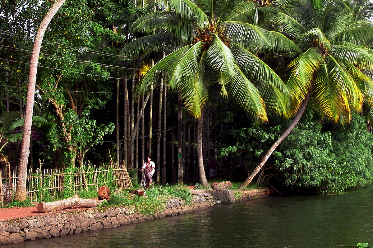 india/kerala_backwaters_bike_palms