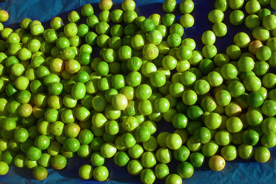 india/kolkata_limes