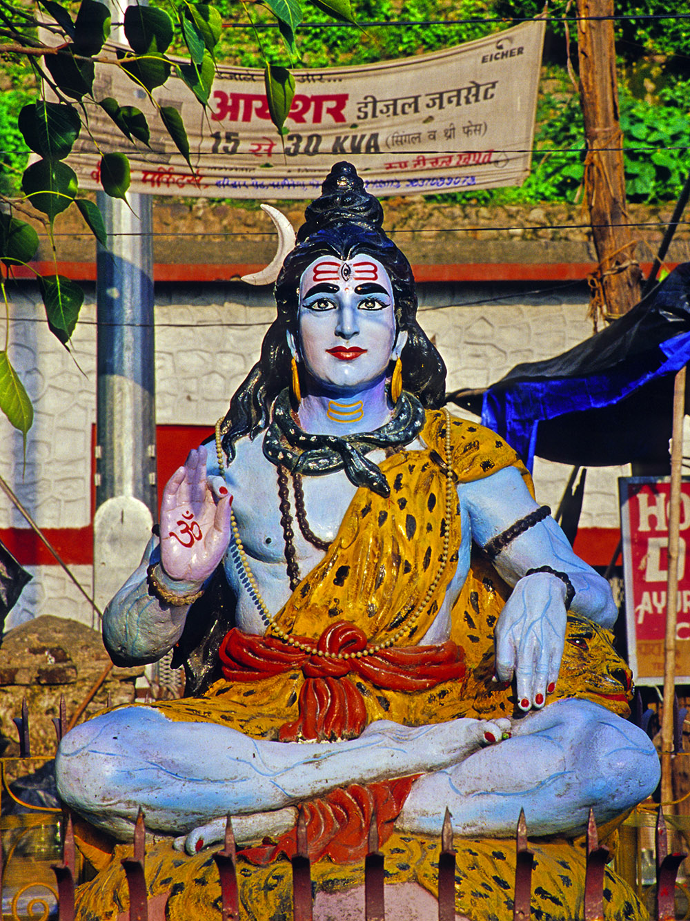 india/rishikesh_shiva_scan