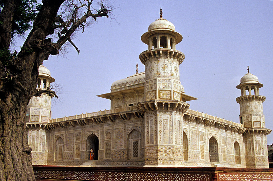 india/taj_baby_tree