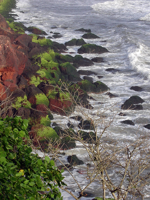 india/varkala_coast_rocks