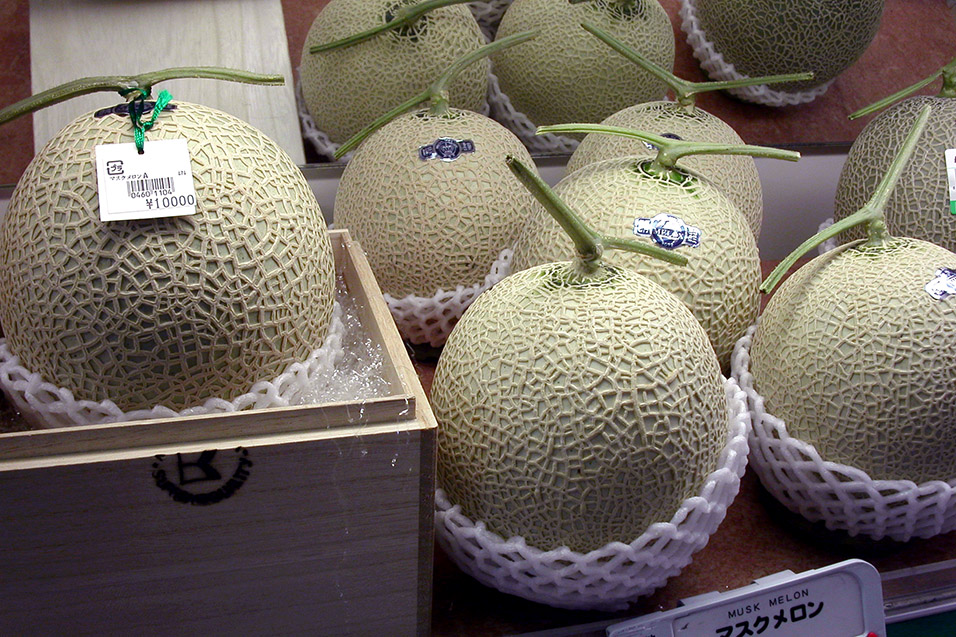 japan/2003/food_expensive_mellons