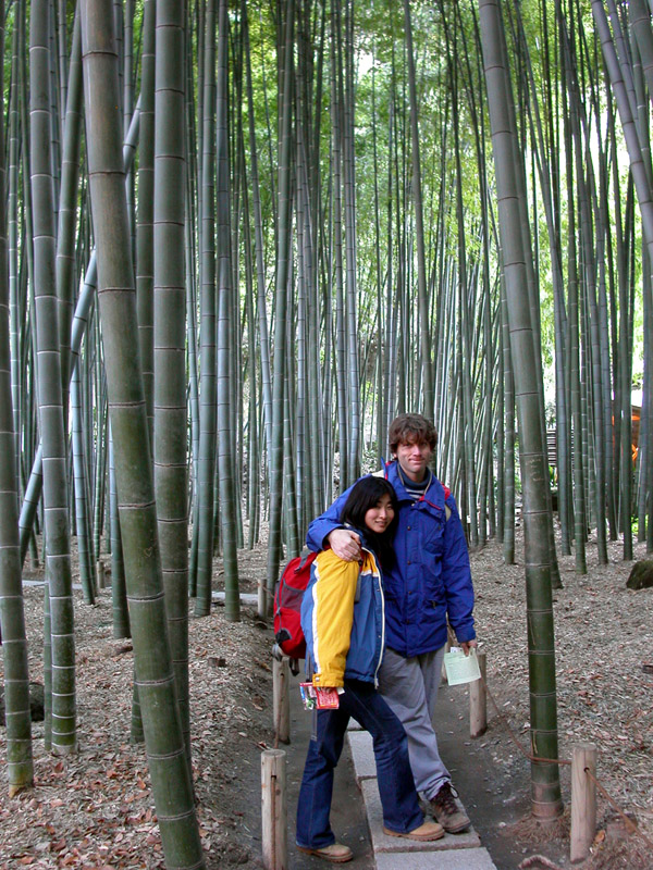 japan/2003/kamakura_bamboo_greg_kashio