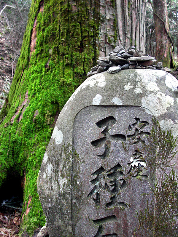 japan/2003/nikko_fertility_rock