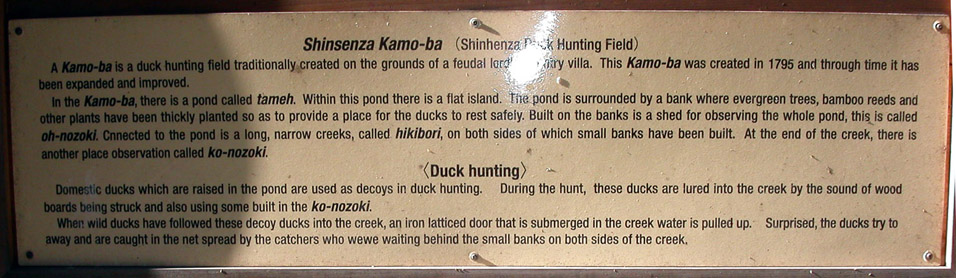 japan/2003/tokyo_duck_sign