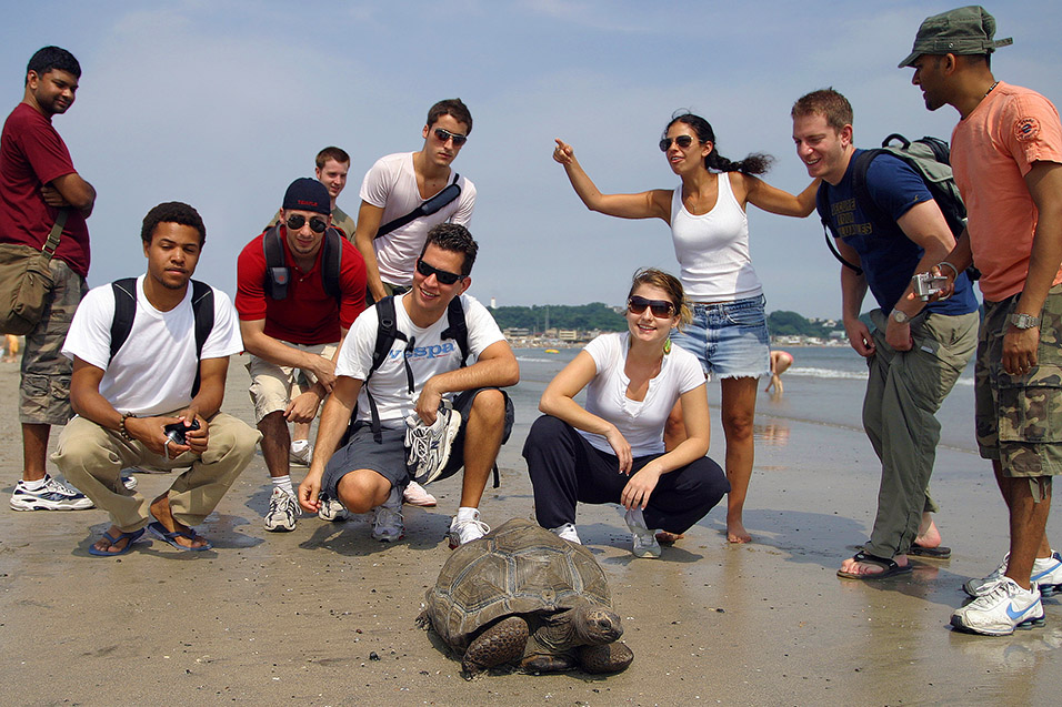 japan/2007/kamakura_turtle_group