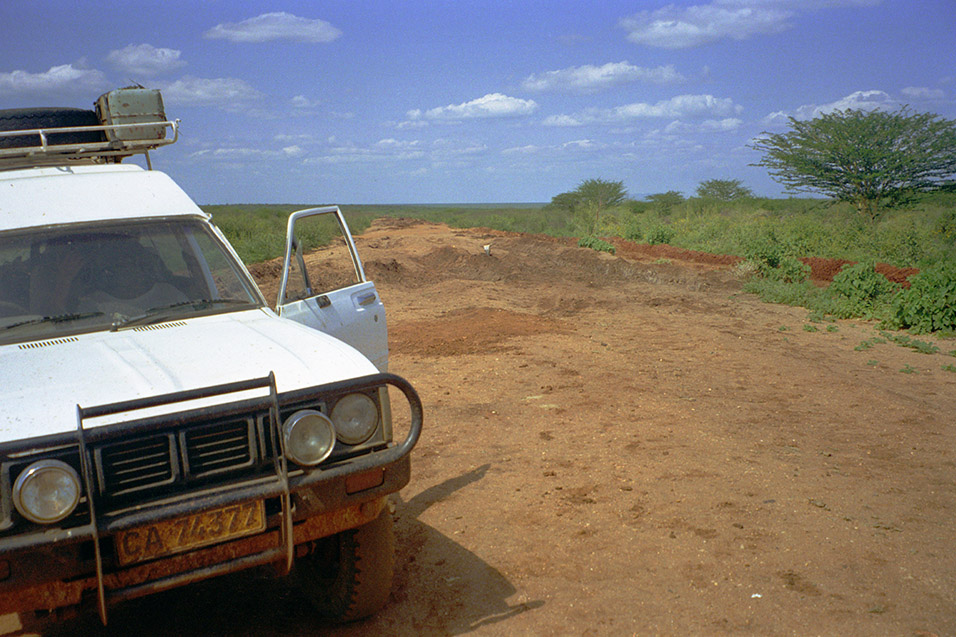 kenya/road_cattle_skull