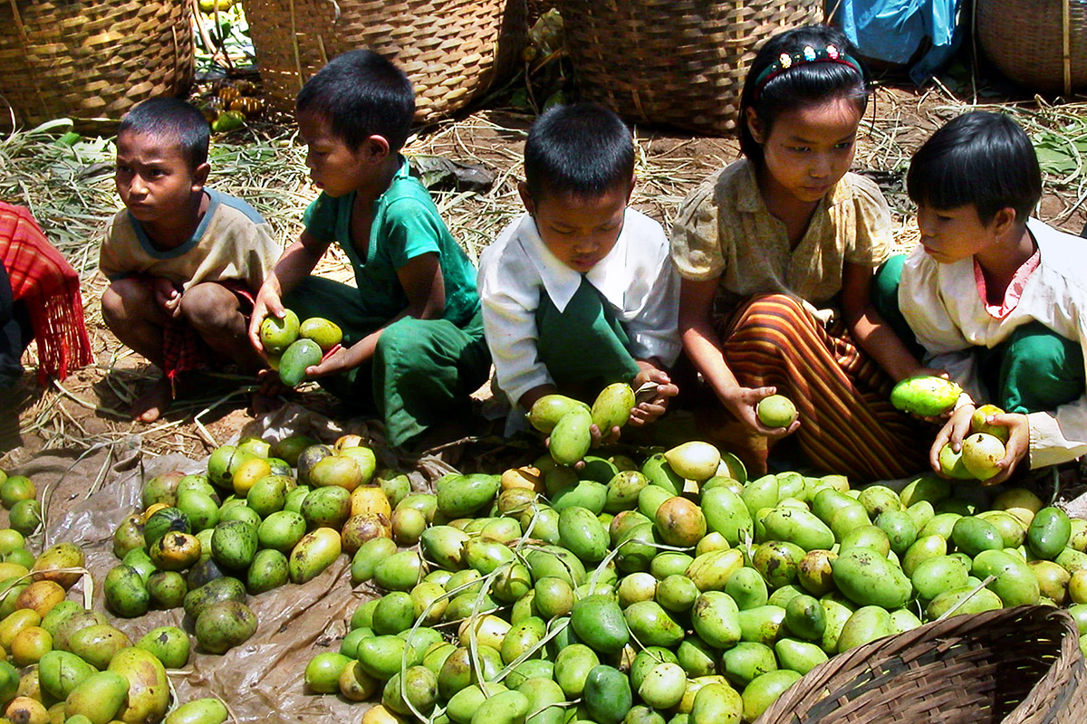 myanmar/inle_lake_man_kids_mangos