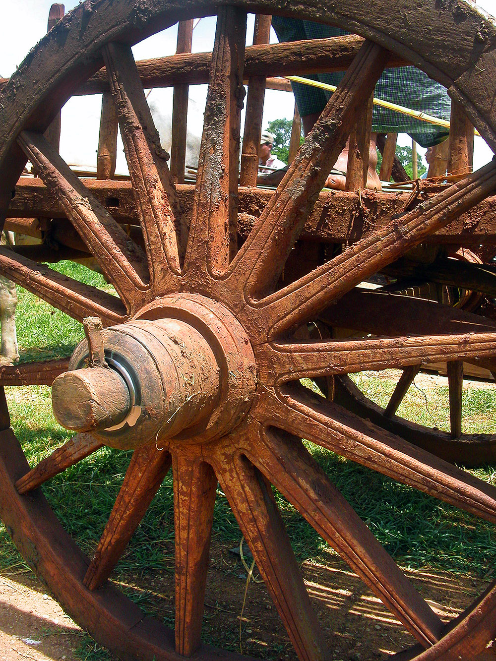 myanmar/inle_lake_wheel