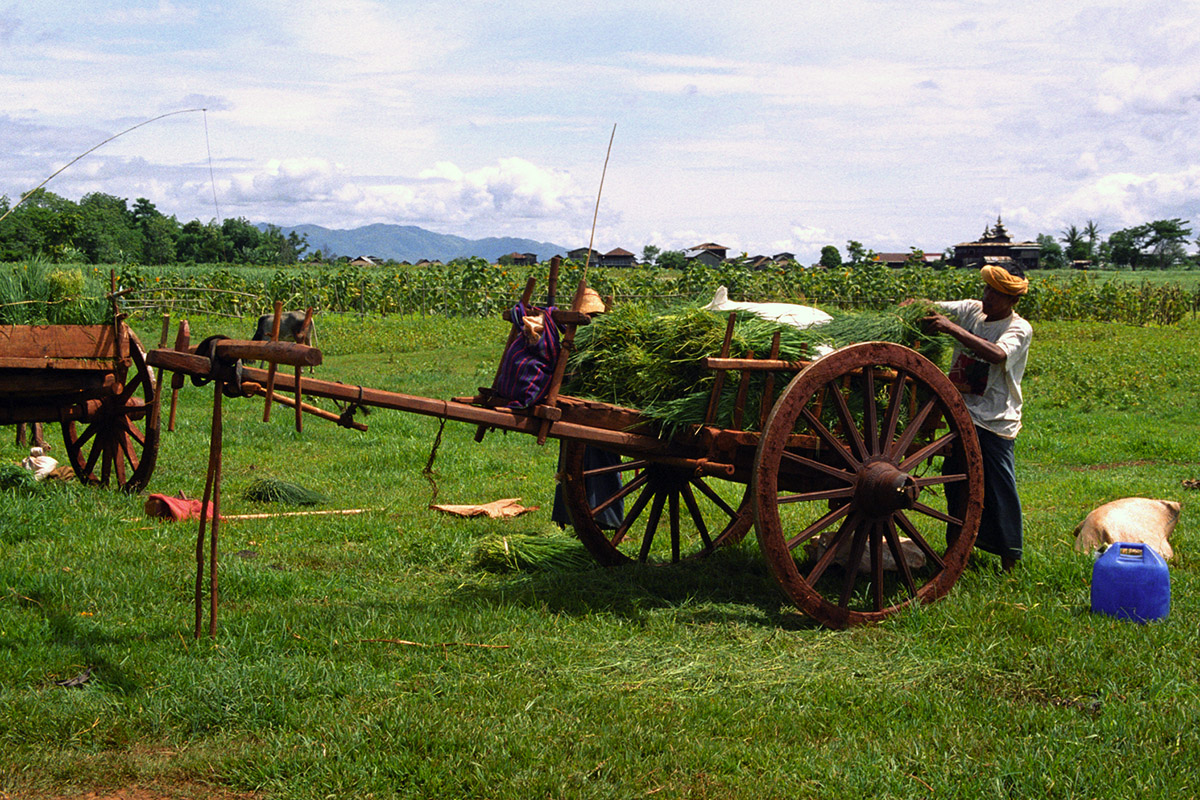 myanmar/inle_loading_cart