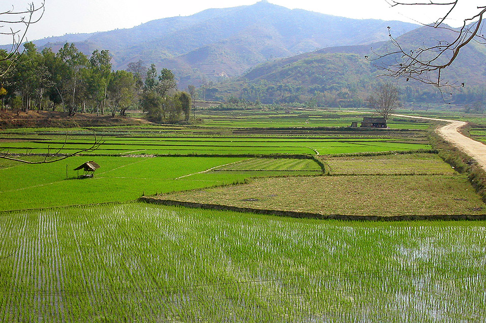 myanmar/kengtung_green_rice_terraces